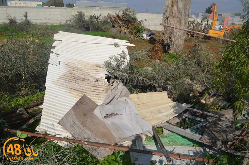 hadm ramla zatoen (8).JPG